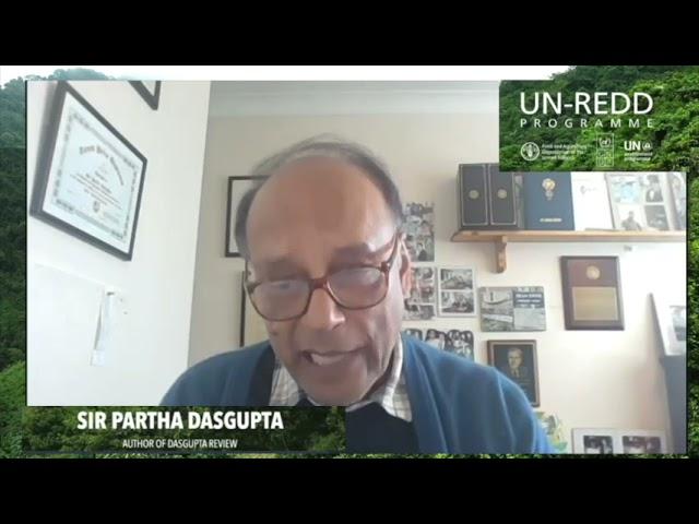 UN-REDD AT COP26 – Financing forest action: investing in forests to address the climate crisis