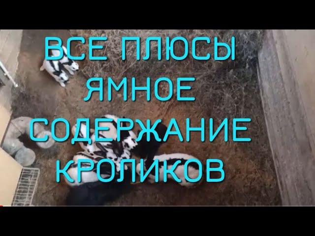 ЯМНОЕ СОДЕРЖАНИЕ КРОЛИКОВ САМОЕ ЛУЧШЕЕ. КРОЛИКИ В ЯМЕ. ПЛЮСЫ ЯМНОГО СОДЕРЖАНИЯ