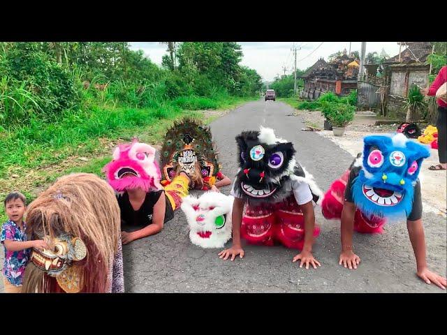 Semua Barongsai Kecil Di Makan Oleh Barong Macan