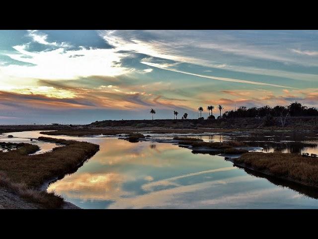 Bolsa Chica Land Trust Live Stream