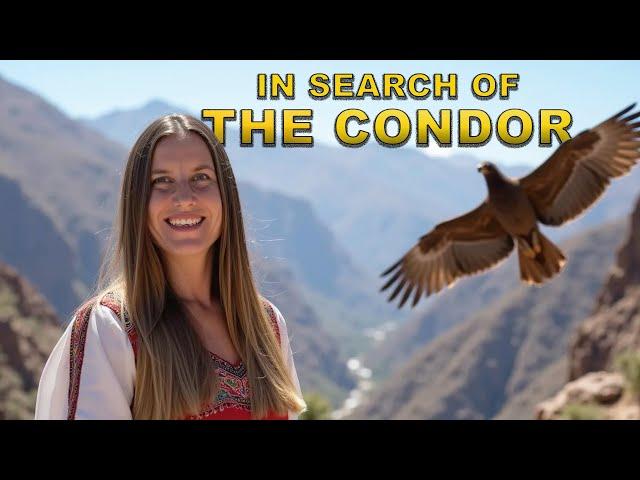 You MUST visit Arequipa to see the Colca Canyon | Solo Travel Guide Peru