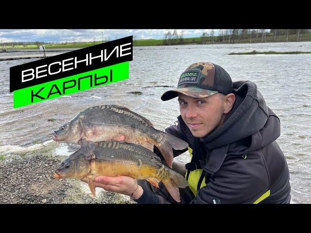 ЛОВЛЯ КАРПА НА ФИДЕР / СЕКРЕТЫ ЛОВЛИ КАРПА / FROS FISHING