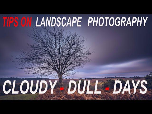 CLOUDY DULL DAYS | LANDSCAPE PHOTOGRAPHY  |  THE NEW FOREST