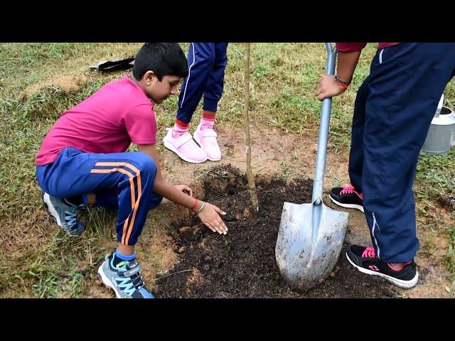 Penanaman Pokok oleh Komuniti dalaman Institut Penyelidikan Perhutanan Malaysia (FRIM)