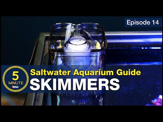 What is a Protein Skimmer? How do I get the right one? A beginner’s guide to aquarium filtration