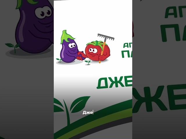  Аграрный репортаж: дело о подделках. Часть 2 #SemenaPartnerShorts