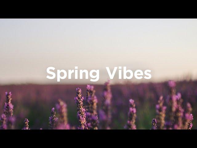 Spring Vibes Playlist  Chill Tracks for Springtime Walks 