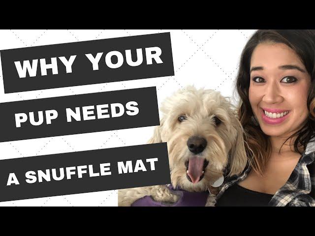 Snuffle Mat For Dogs