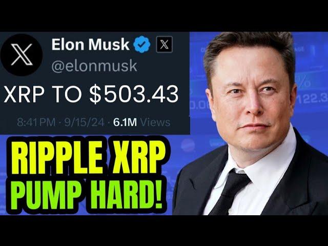 XRP RIPPLE: ELON MUSK $104 BILLION XRP BUYOUT! :money_with_wings::rocket: $503.43 XRP PUMP TONIGHT