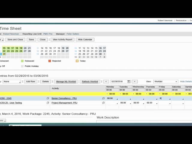 SAP ByDesign Time Entry for Projects - Navigator Business Solutions