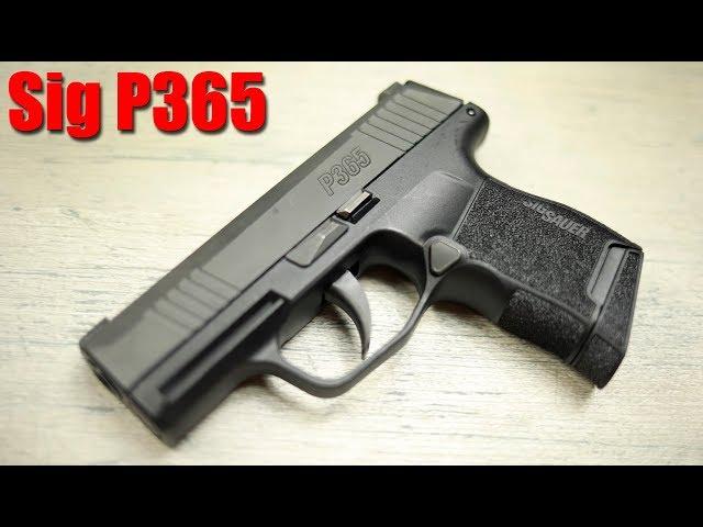 The Truth About The Sig P365: 1000 Round Review