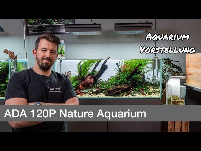 ADA 120P Nature Aquarium Vorstellung | Liquid Nature