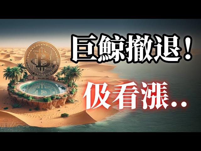 比特币行情分析！BTC巨鲸撤退,比特币市场明显走弱！ADA、SOL、XRP瑞波！我是如何判断。