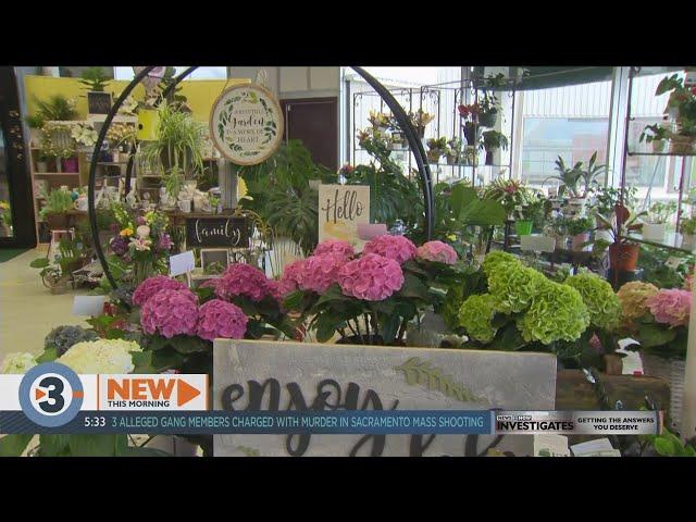 Florists busy with mother's day