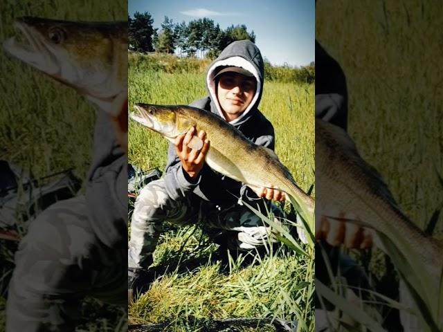 #bergar #imod #wędkowanie #bigfish #karp #fish #fishing #jesiotr #fishingfun #fishingvideo