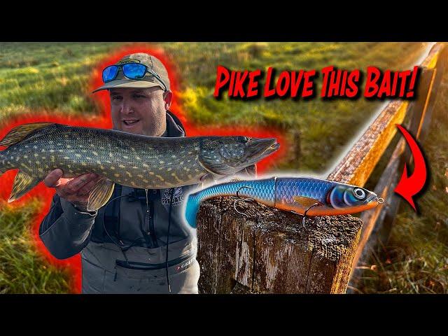 Pike Fishing On Derwent Reservoir Using The Rapala Peto!