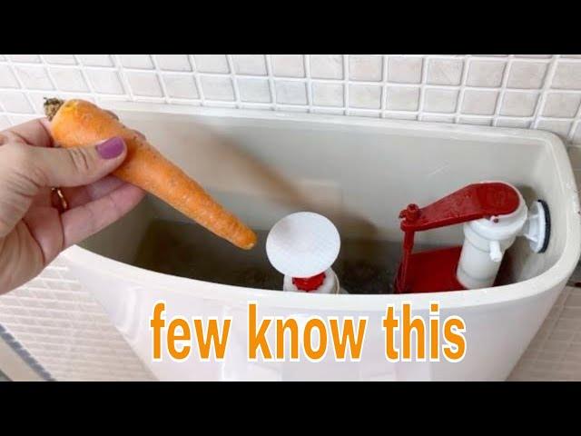 Place a Carrot in Your Toilet,  You'll Be Surprised