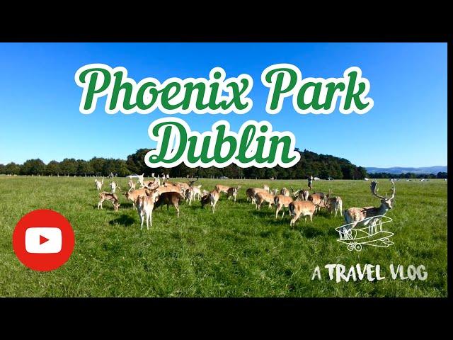 Dublin Phoenix Park, Afternoon walk