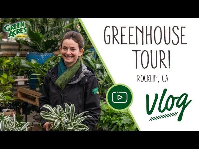 Tour the Greenhouse with Our Houseplant Buyer! @ Green Acres Nursery & Supply - Rocklin