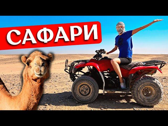 EGYPT 2023: quad bike safari - excursion in Hurghada review | Desert, camels, Bedouins