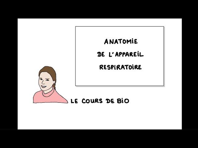 Anatomie de l’appareil respiratoire