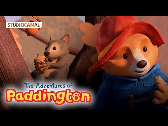 Paddington | Paddington & Animals