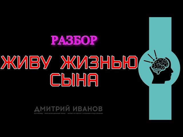 Разбор  Живу жизнь сына