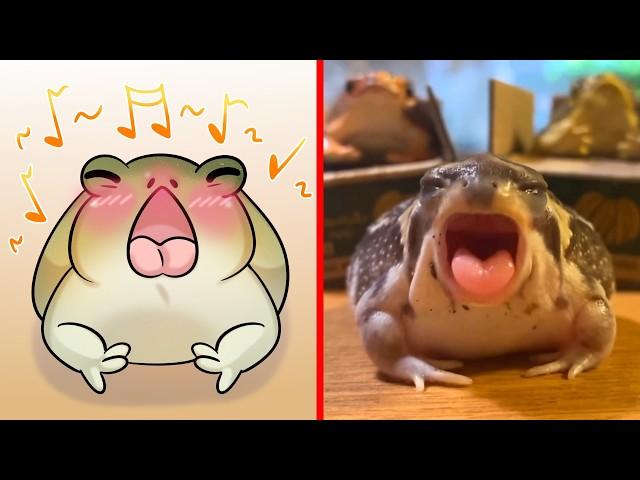 Compilation of the Cutest Animals  Funny Animal Memes