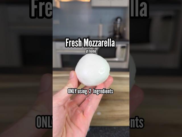 2 Ingredient FRESH Mozzarella