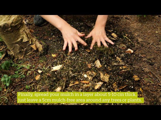 How To Make a Mulch Pile