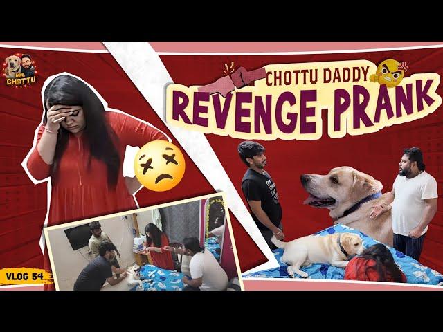 Chottu Daddy Revenge prank | Chottu Mummy பாவம் | Vlog 54 | Mr.Chottu