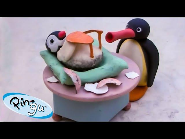 Pingu's Little Sister, Pinga  | Pingu - Official Channel | Cartoons For Kids