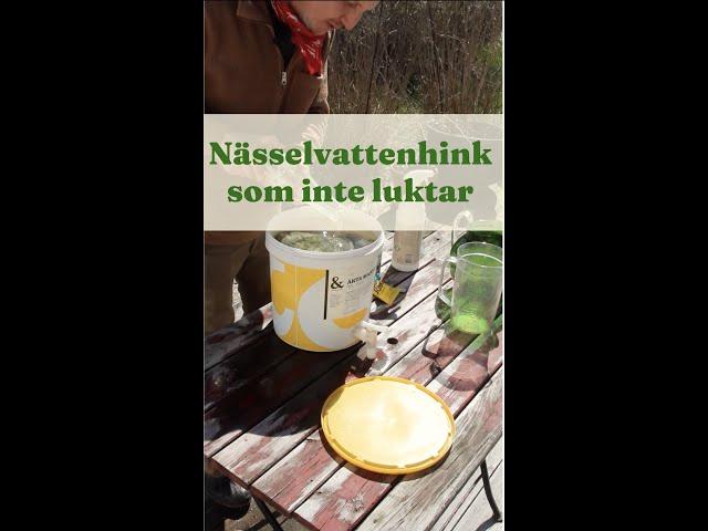 Gör eget nässelvatten. Nässelvattenhink som inte luktar - Trädgårdshacks med GardenR