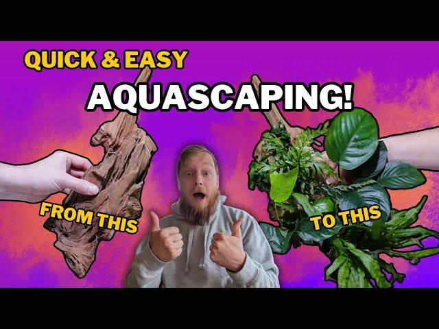 HOW TO: Attach EASY to grow plants to wood for your fish tank.