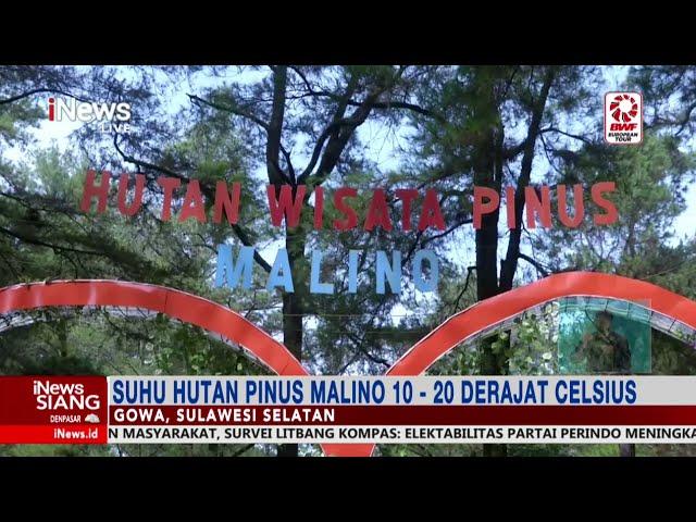 Menjelajah Indahnya Hutan Pinus Malino di Kab. Gowa, Sulawesi Selatan #iNewsSiang 30/10