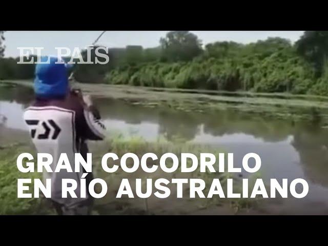 Un enorme COCODRILO sorprende a dos PESCADORES en AUSTRALIA