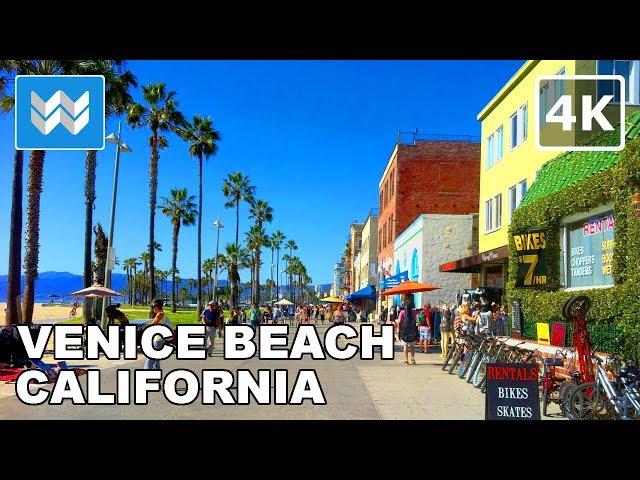 [4K] Walking from Venice Beach to Santa Monica Pier in Los Angeles, California USA