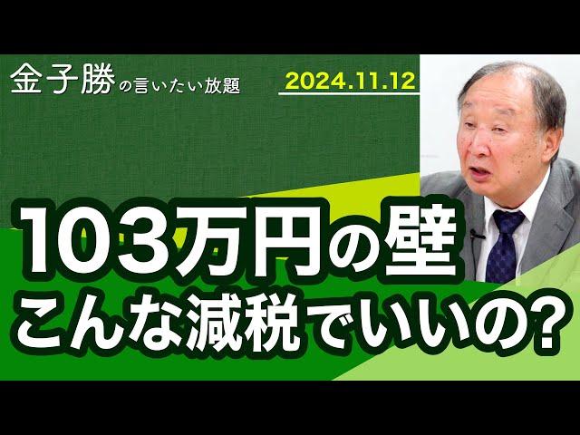 誰のための減税か～103万円の壁の意味【金子勝の言いたい放題】20241112