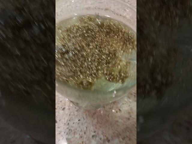 Hemp Floating After 48 Hours