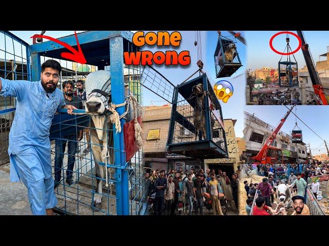 COW DANGEROUS CRANE UNLOADING  GONE WRONG | SYED FAHAD