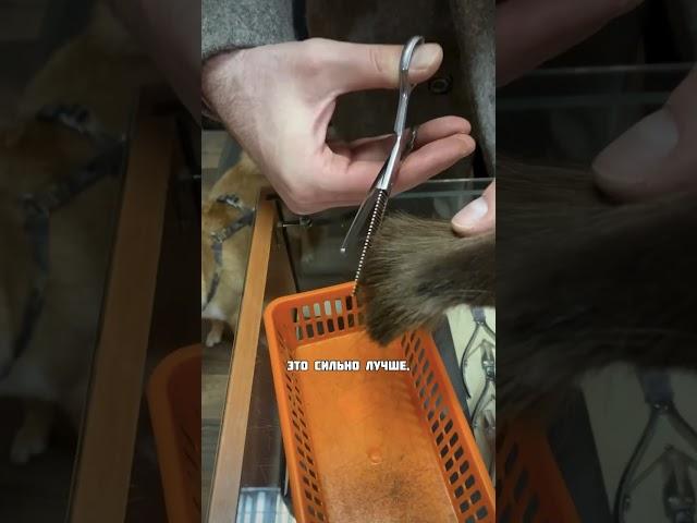 PRO ножницы VS ножницы
