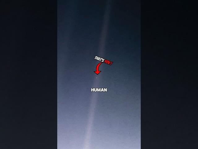 The pale blue dot image will make you think… #palebluedot #bluedot