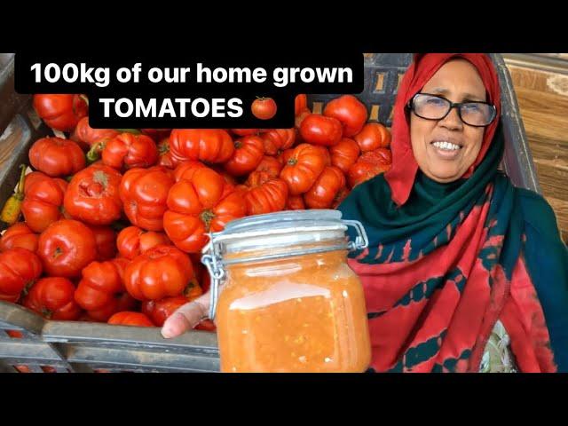 We spent 8HOURS COOKING 100kg of TOMATOES for food storage | FARM LIFE IN HARGEISA SOMALILAND 2024