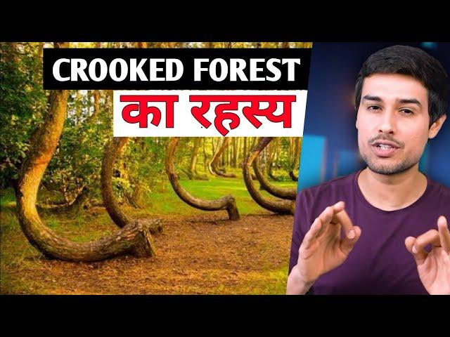 Crooked Forest  Poland || Why Those Trees Are Crooked ? || THE COSMIC LENS