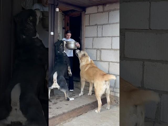 ГЛАВНАЯ НА РАЗДАЧЕ 