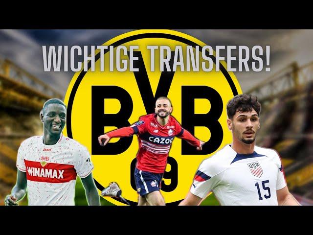 Diese Transfers braucht der BVB ! ️🟡