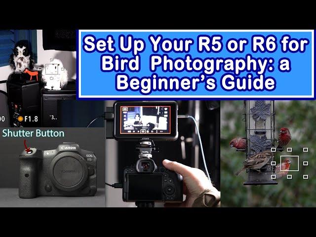 Set Up Your EOS R5 or R6 for Bird Photography: Must Make These Changes Before You Go Birding!