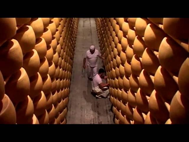 Viaggio nel Parmigiano Reggiano