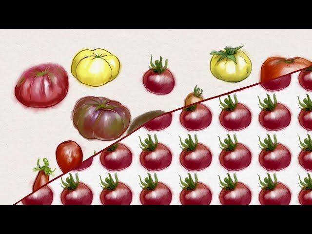 Organic breeding for healthy, tasty and diverse food