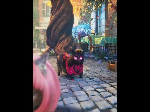 So that's what the cats want #memes #oiiaoiia #funny